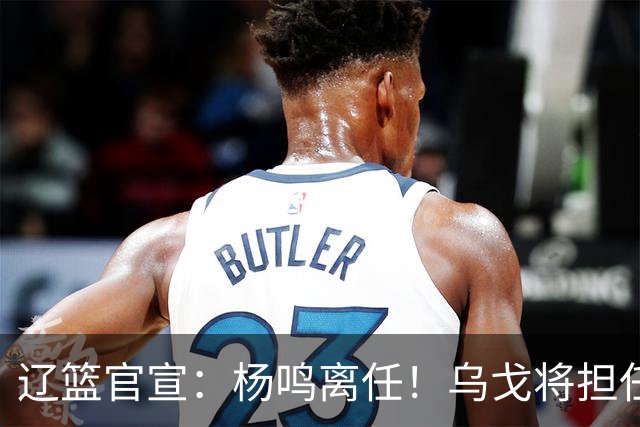 辽篮官宣：杨鸣离任！乌戈将担任辽宁男篮主帅